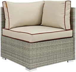 Light Gray Beige color