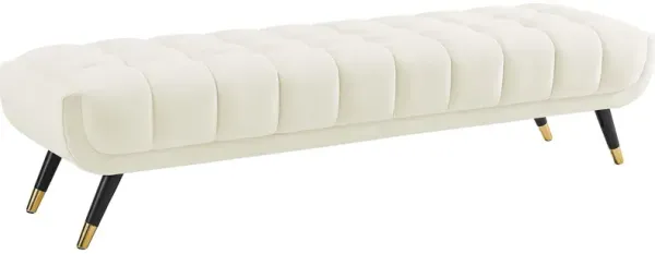 Adept Performance Velvet Bench by Modway Ivory