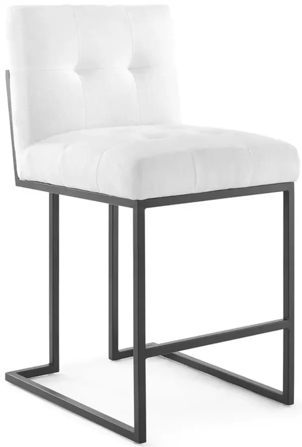 Privy Black Stainless Steel Upholstered Fabric Counter Stool by Modway Black White
