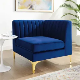 Navy color