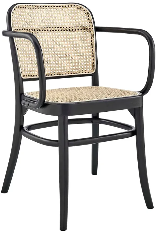Winona Wood Dining Chair by Modway Black