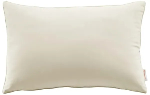 Enhance Lumbar Performance Velvet Throw Pillow by Modway
