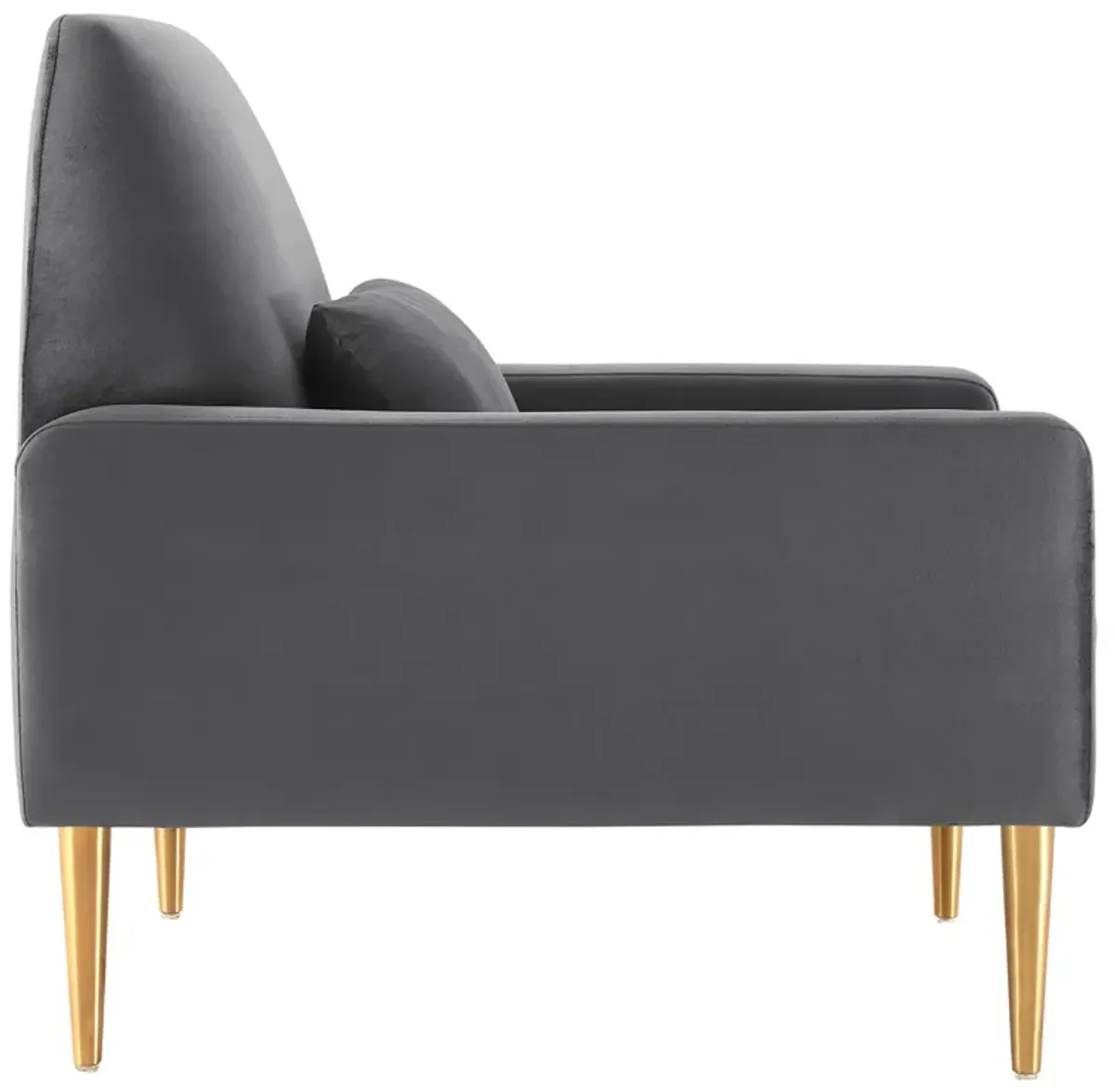 Liliana Performance Velvet Armchair by Modway Charcoal