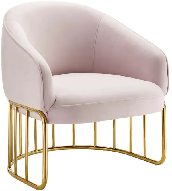Legacy Performance Velvet Armchair by Modway Pink