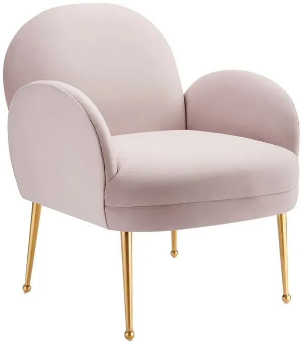 Transcend Performance Velvet Armchair by Modway Pink