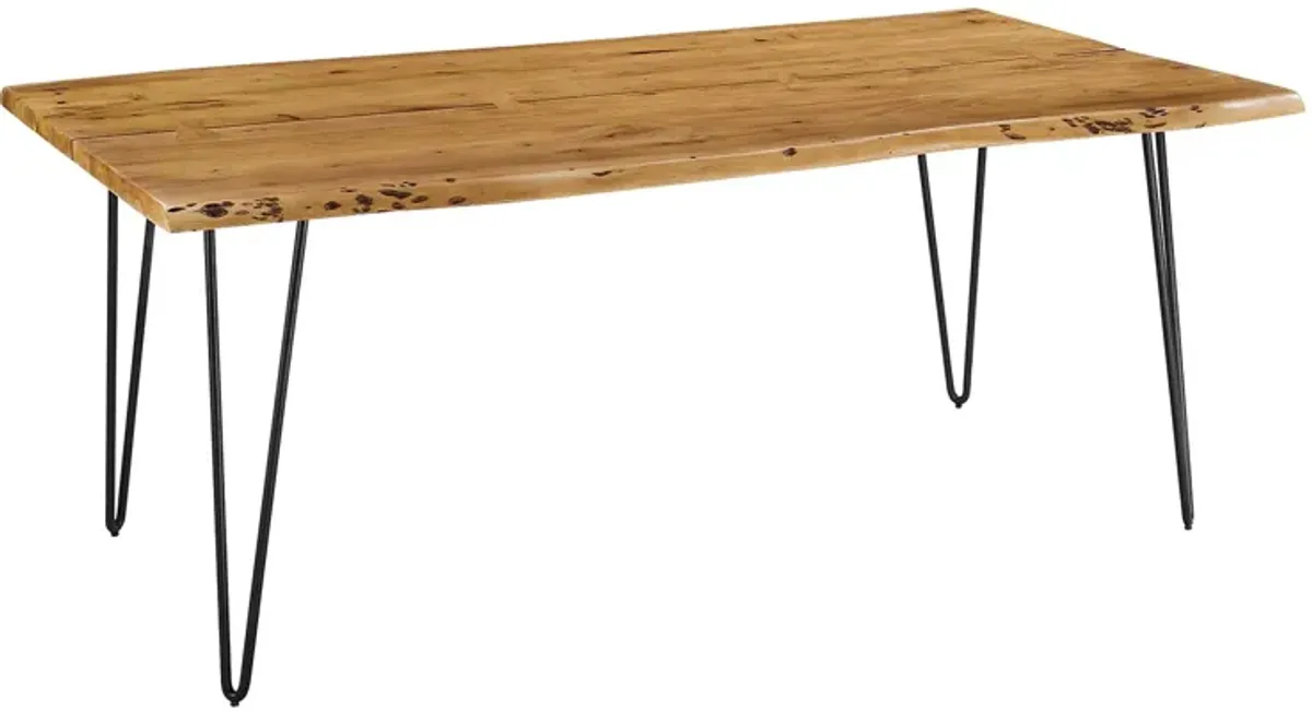 Ardor 74" Live Edge Acacia Wood Acacia Wood Dining Table by Modway Gold Walnut