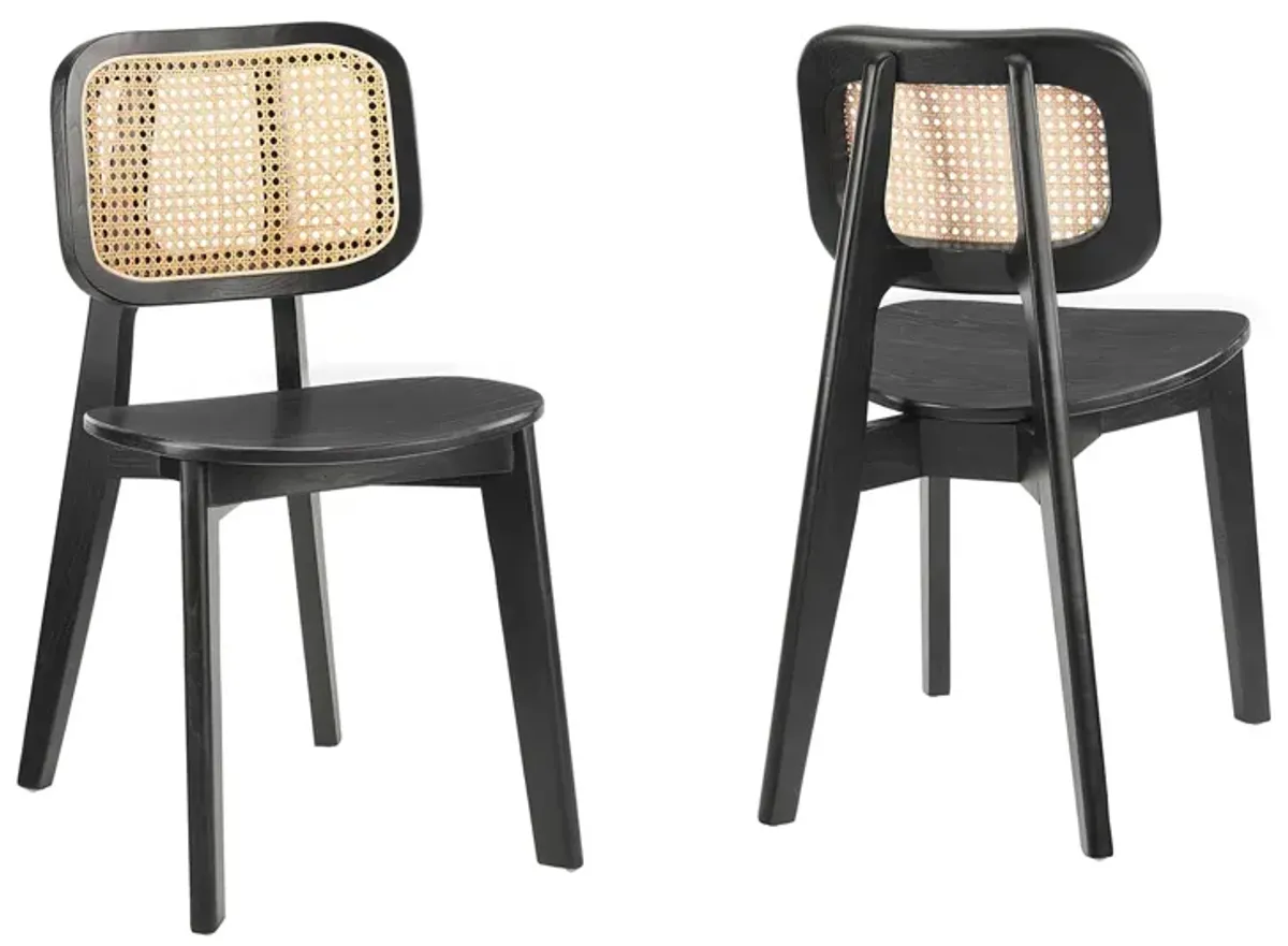 Habitat Wood Dining Side Chair Set of 2 by Modway Black
