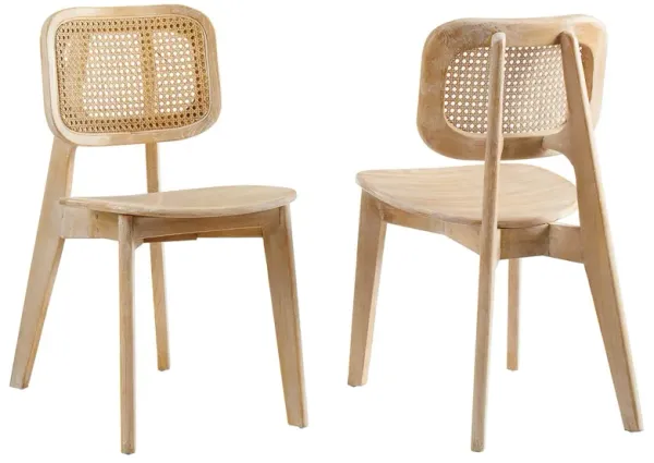 Habitat Wood Dining Side Chair Set of 2 by Modway Gray