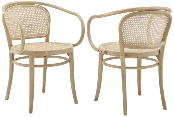 Oliana Wood Dining Armchair Set of 2 by Modway Gray