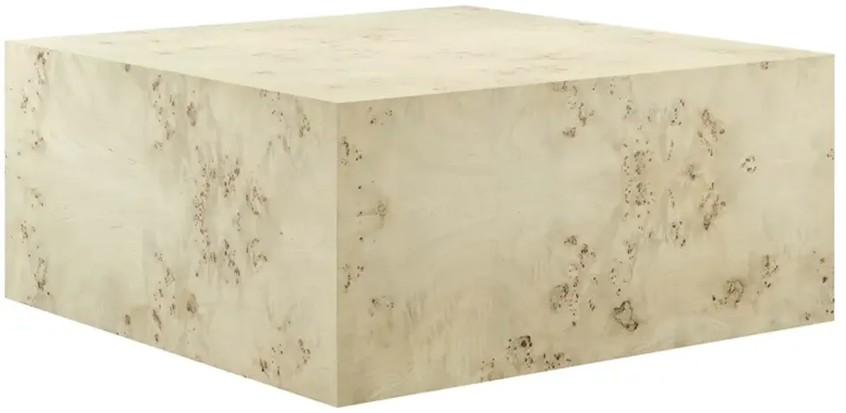 Cosmos 36" Square Burl Wood Coffee Table by Modway Natural Burl