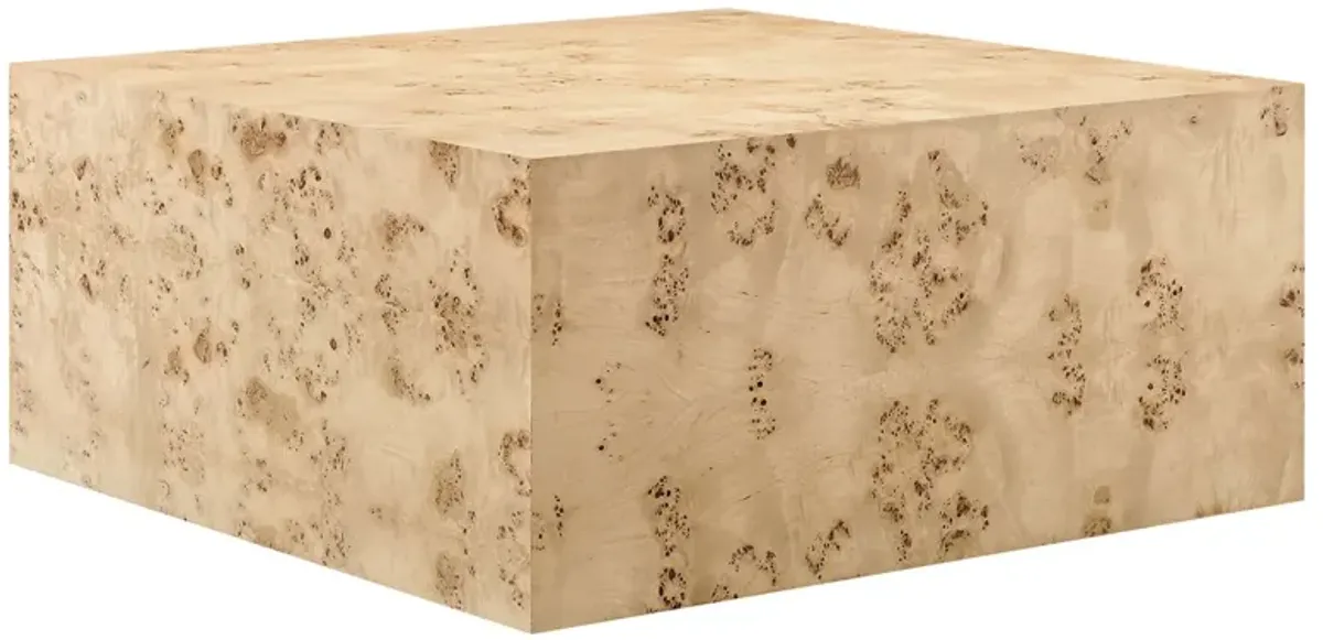 Cosmos 36" Square Burl Wood Coffee Table by Modway Natural Burl