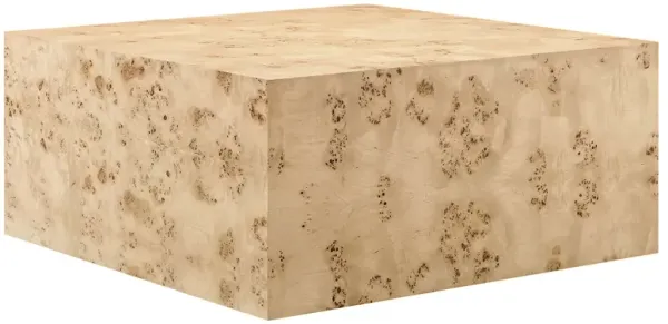 Cosmos 36" Square Burl Wood Coffee Table by Modway Natural Burl