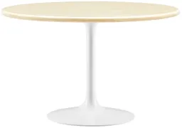 White Travertine color