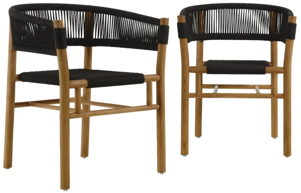 Vienna Outdoor Patio Teak and Rope Curved-Back Dining Armchairs Set of 2 by Modway Natural Black