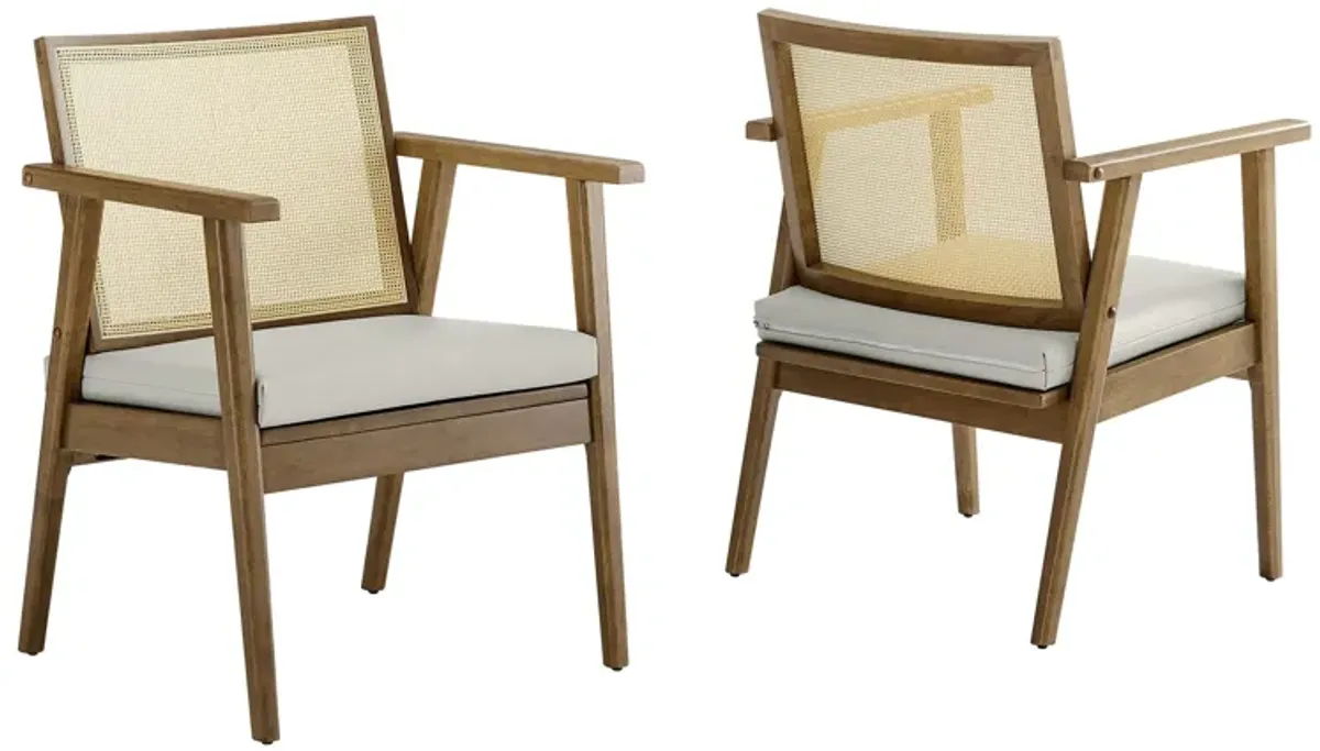 Thera Vegan Leather and Cane Accent Armchairs Set of 2 by Modway