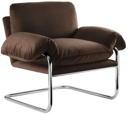 Chocolate Brown color