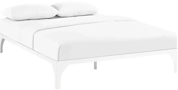 Ollie Bed Frame by Modway White / Queen