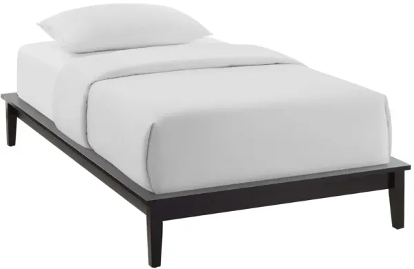 Lodge Wood Platform Bed Frame by Modway Cappuccino / Twin