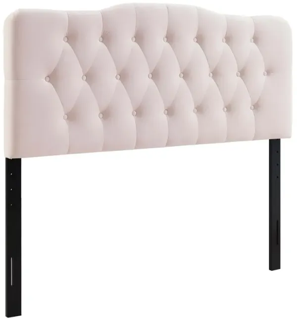 Annabel Diamond Tufted Performance Velvet Headboard by Modway Queen / Pink