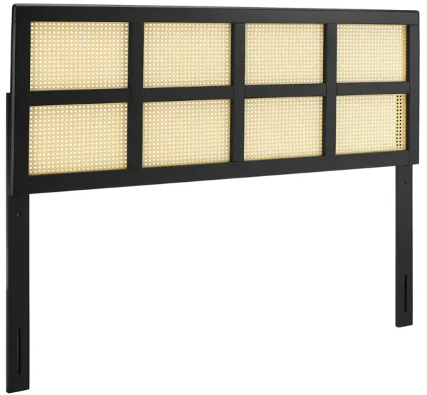 Luana Cane Headboard by Modway Queen / Black