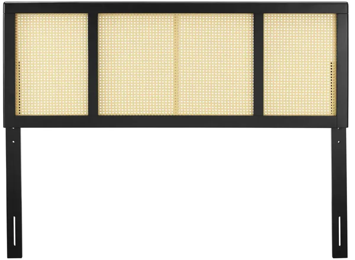 Delmare Cane Headboard by Modway