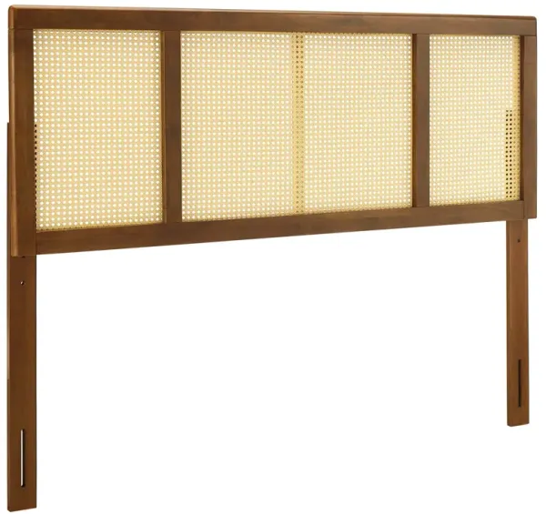 Delmare Cane Headboard by Modway Walnut / King