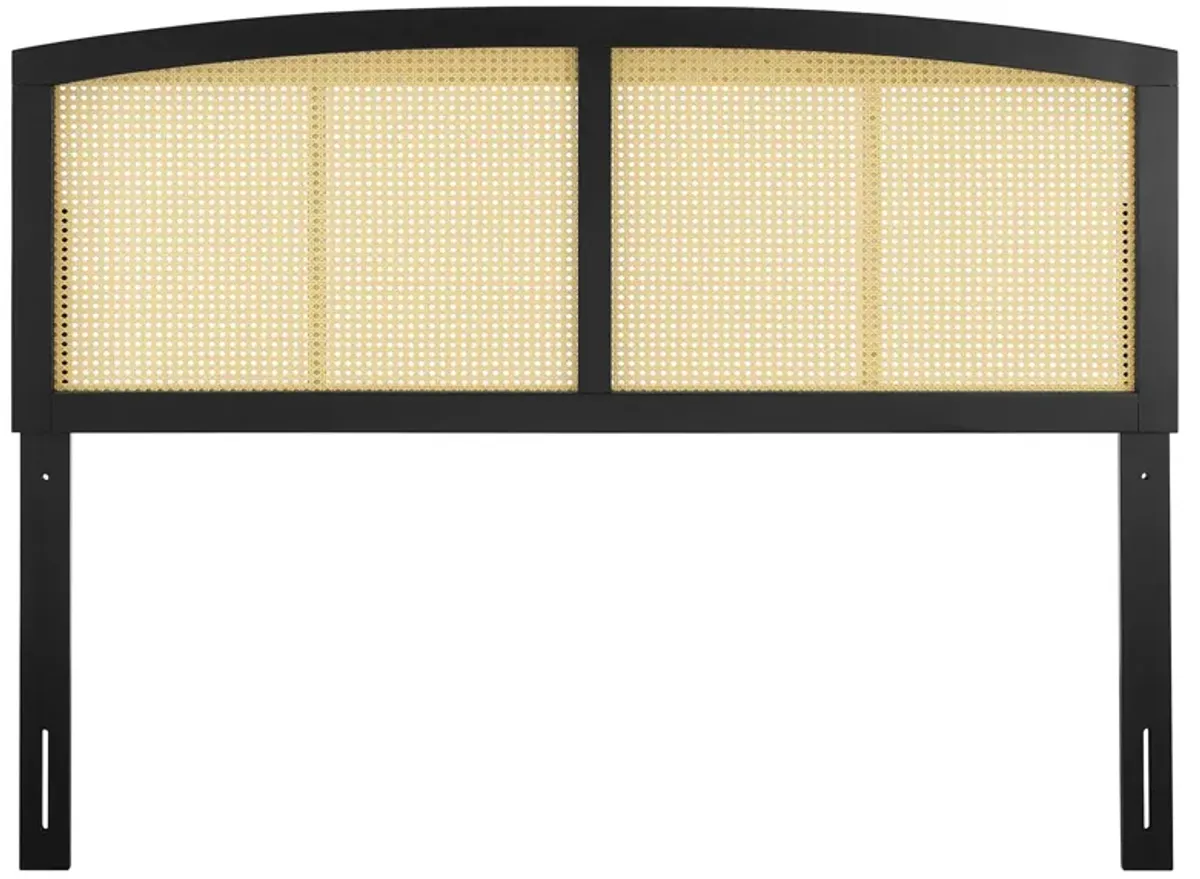 Halcyon Cane Headboard by Modway Black / Full