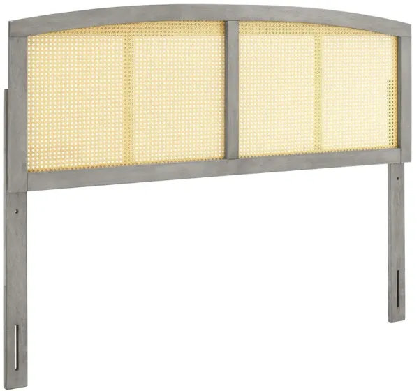 Halcyon Cane Headboard by Modway Gray / Full