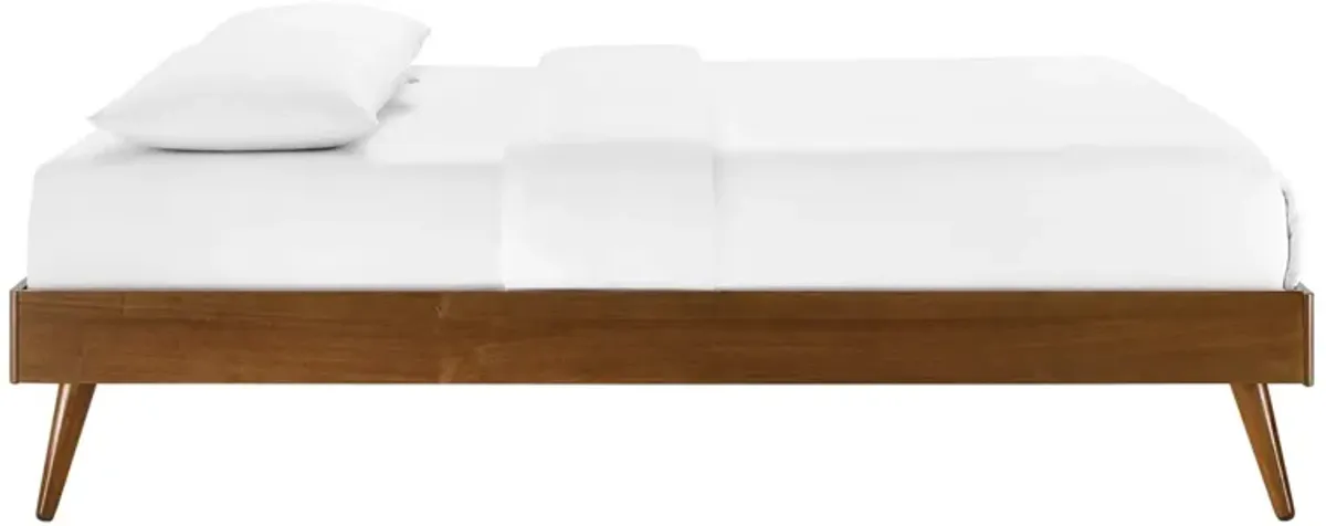 Margo Wood Platform Bed Frame by Modway Queen / Walnut