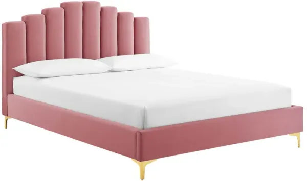 Olivia Performance Velvet Platform Bed by Modway Dusty Rose / Queen