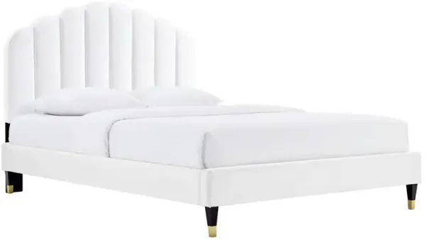 Daisy Performance Velvet Platform Bed Wood and Gold Legs by Modway Queen / White