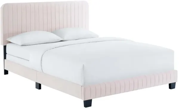 Celine Channel Tufted Performance Velvet Bed by Modway Full / Pink