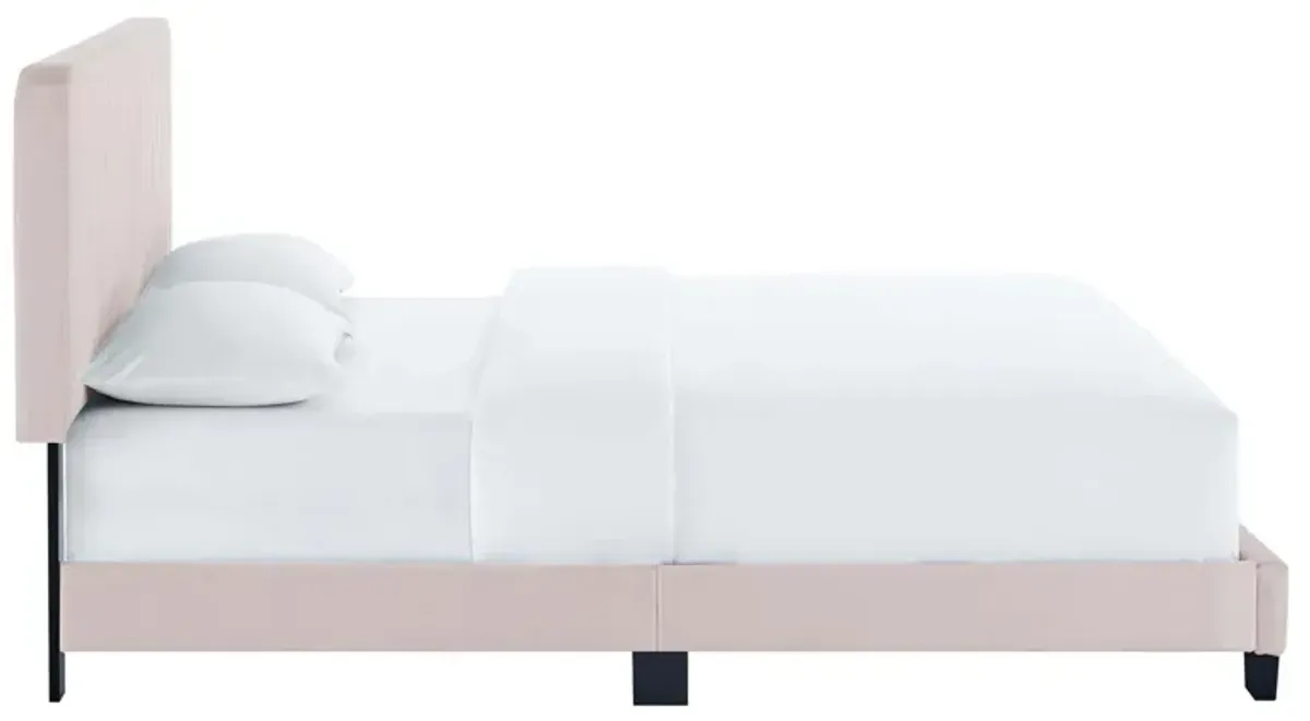 Celine Channel Tufted Performance Velvet Platform Bed by Modway