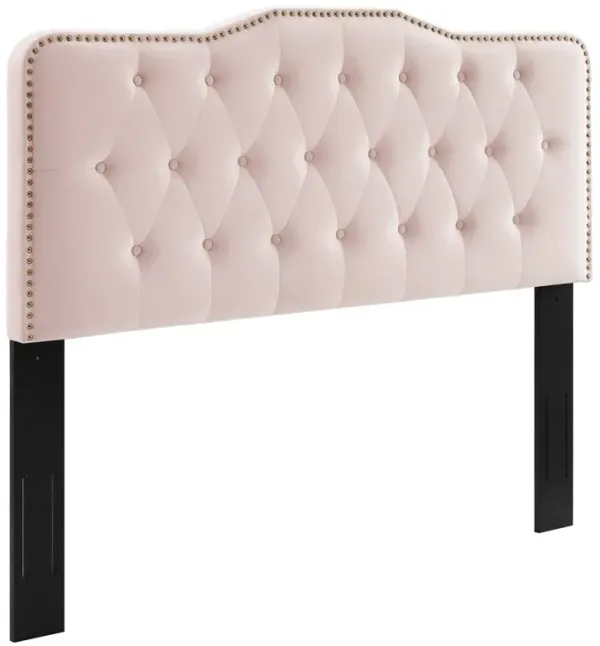 Sophia Tufted Performance Velvet Headboard by Modway Full/Queen / Pink