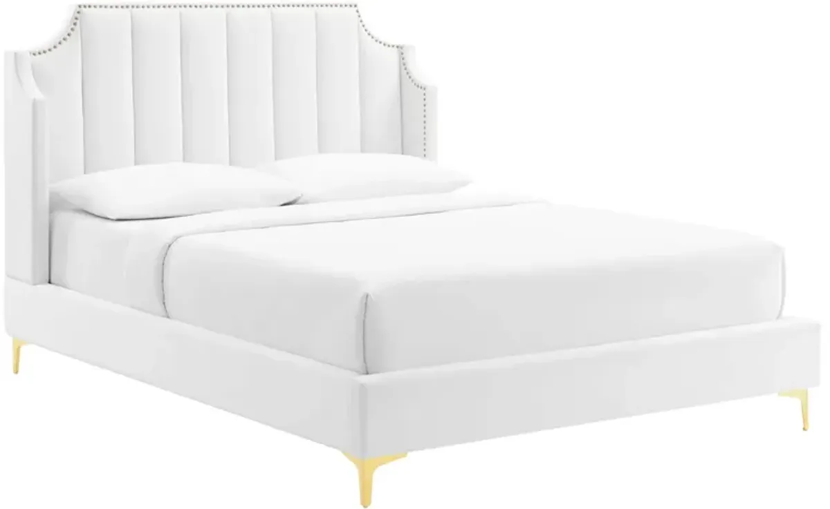 Daniella Performance Velvet Queen Platform Bed by Modway Gray