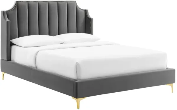 Daniella Performance Velvet Queen Platform Bed by Modway Gray
