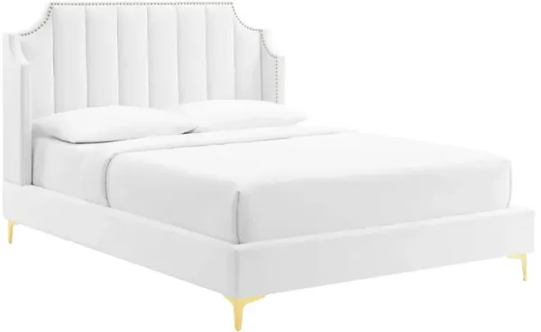 Daniella Performance Velvet Platform Bed by Modway White / Queen