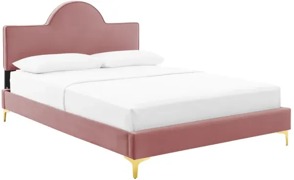 Sunny Performance Velvet Bed by Modway Queen / Dusty Rose