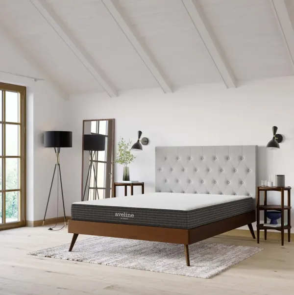 Aveline Memory Foam Mattress by Modway Twin / 14"
