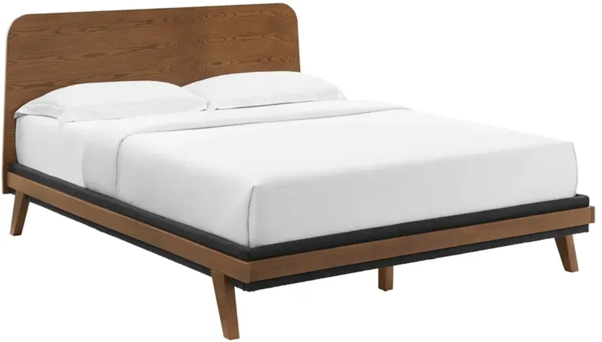 Dylan Platform Bed by Modway Walnut / Queen