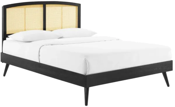 Sierra Cane and Wood Platform Bed With Splayed Legs by Modway Full / Black
