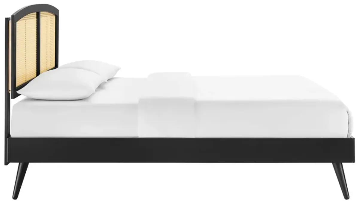 Sierra Cane and Wood Platform Bed With Splayed Legs by Modway