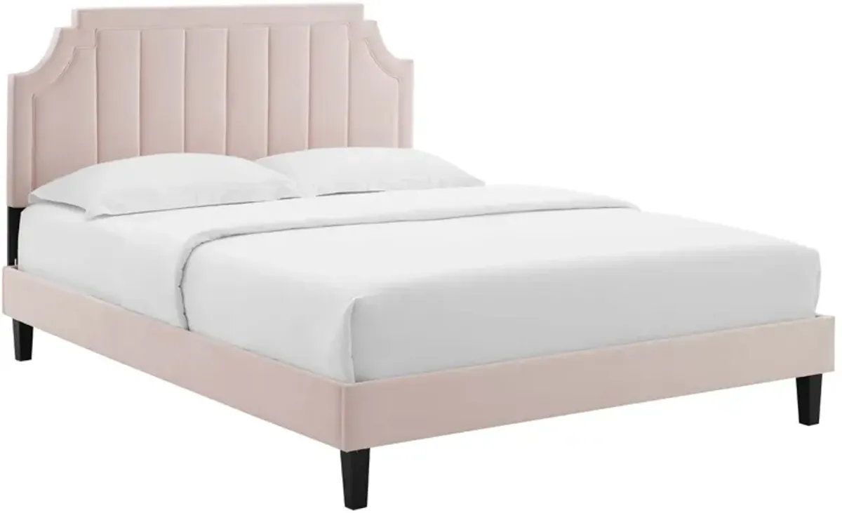 Sienna Performance Velvet Platform Bed With Black Wood Legs by Modway Queen / Pink