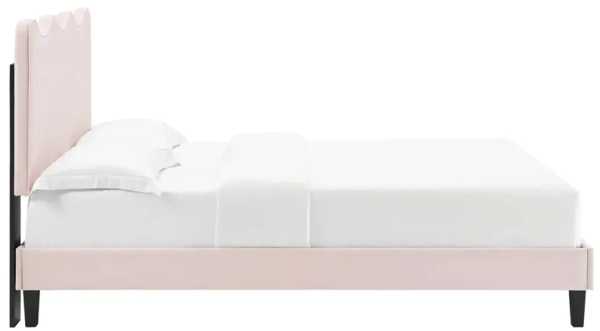 Current Performance Velvet Platform Bed With Black Wood Legs by Modway