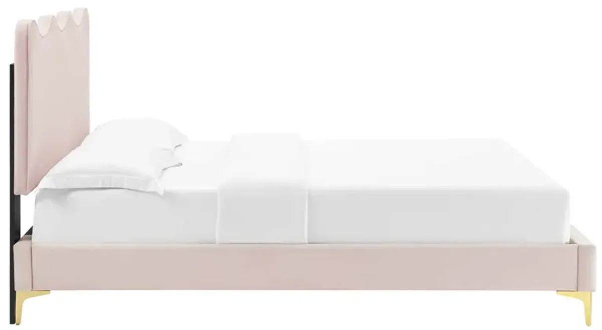 Current Performance Velvet Platform Bed With Gold Metal Legs by Modway