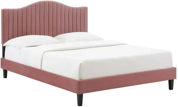 Juniper Channel Tufted Performance Velvet Platform Bed With Black Wood Legs by Modway King / Dusty Rose