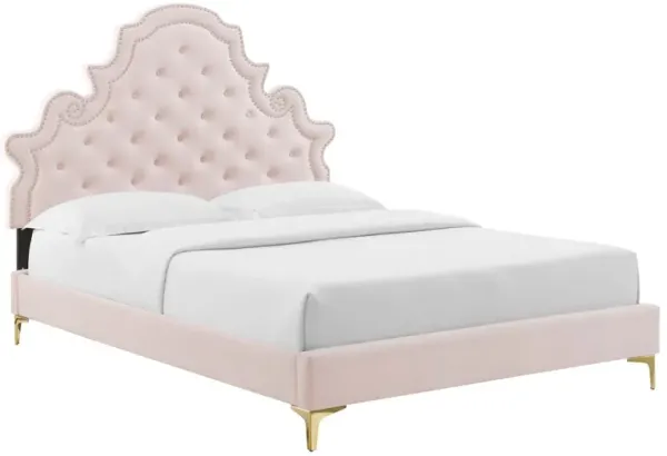 Gwyneth Tufted Performance Velvet Platform Bed With Gold Metal Legs by Modway Twin / Pink