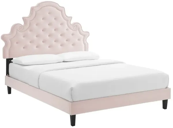 Gwyneth Tufted Performance Velvet Platform Bed With Black Wood Legs by Modway Twin / Pink