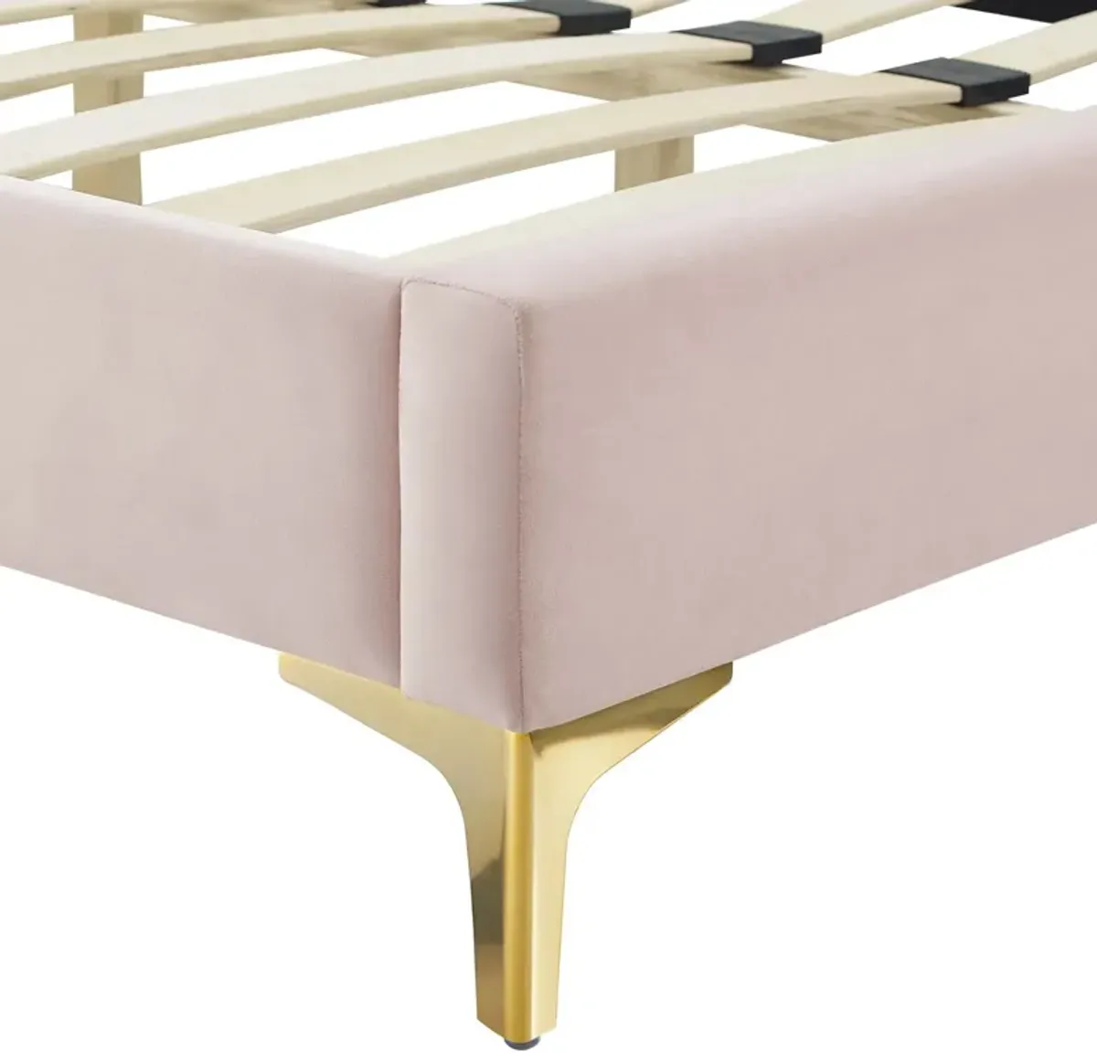 Amber Performance Velvet Platform Bed With Gold Legs by Modway Queen / Pink