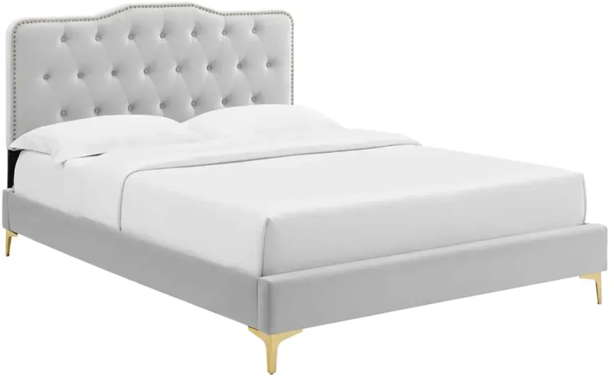 Amber Performance Velvet Platform Bed With Gold Legs by Modway Twin / Light Gray